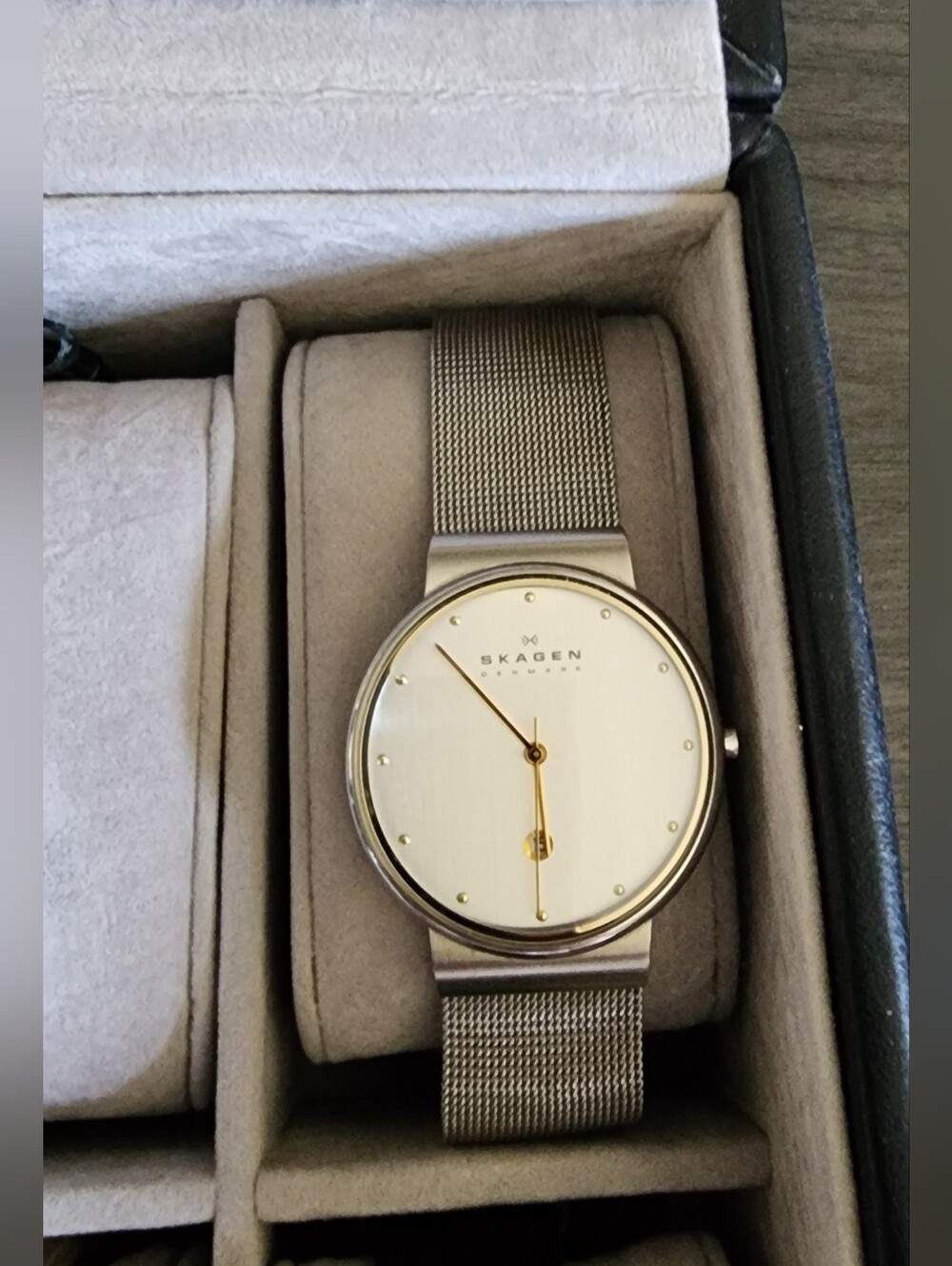 Skagen Denmark Men’s Stainless Steel Mesh Quartz Watch 355LGSCA With Box & Book